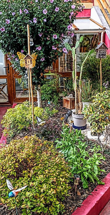 Un Moment De Douceur Bed & Breakfast Nancy Luaran gambar